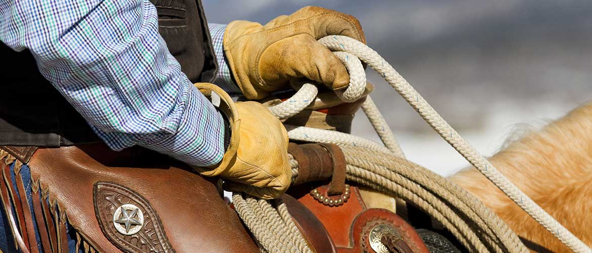 Affordable Bail Bonds Service Bakersfield Bail Bonds Cowboy Bail Bonds