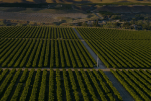 bakersfield agriculture farms